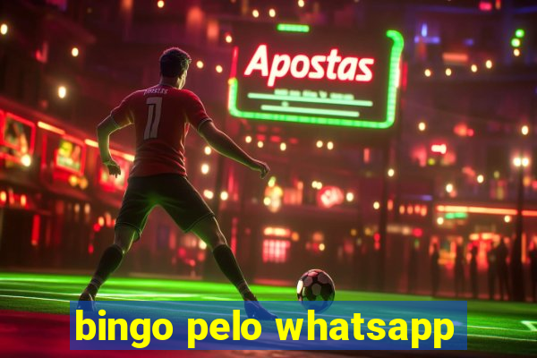 bingo pelo whatsapp