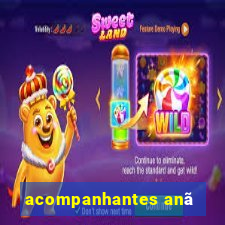 acompanhantes anã