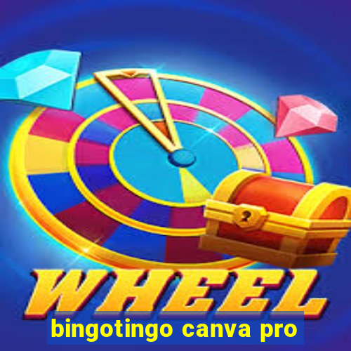 bingotingo canva pro